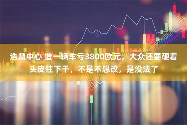 浩鼎中心 造一辆车亏3800欧元，大众还要硬着头皮往下干，不是不想改，是没法了