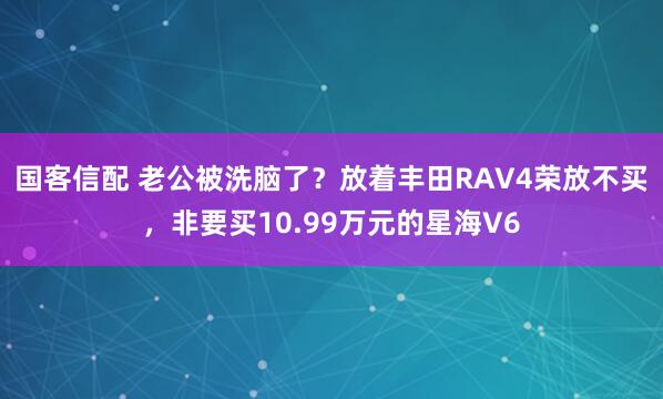 国客信配 老公被洗脑了?放着丰田RAV4荣放不买,非要买10.99万元的星海V6