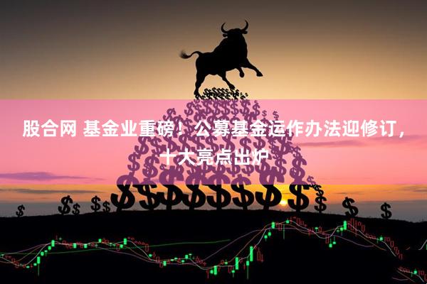 股合网 基金业重磅！公募基金运作办法迎修订，十大亮点出炉
