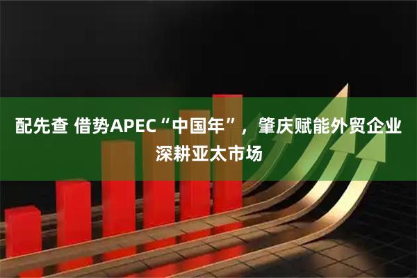 配先查 借势APEC“中国年”,肇庆赋能外贸企业深耕亚太市场