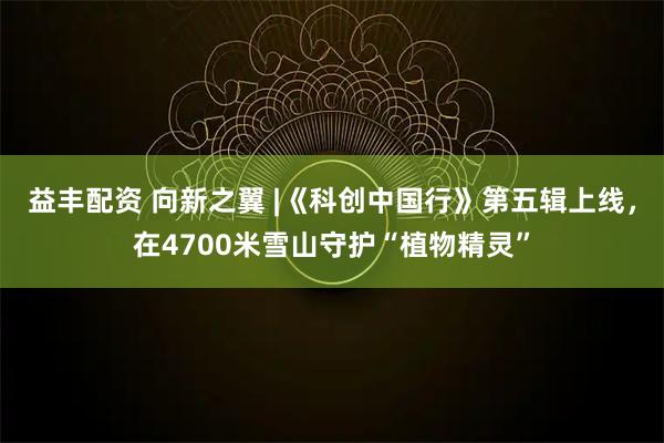 益丰配资 向新之翼 |《科创中国行》第五辑上线，在4700米雪山守护“植物精灵”